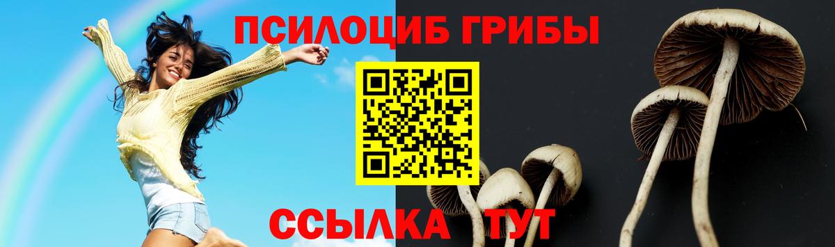 Галлюциногенные грибы ЛСД Баксан